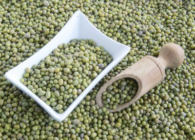 Yeşil tohum mung fasulye