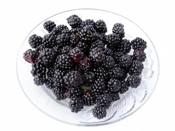 Czarne jagody jako smaczny, dzikie owoce — Zdjęcie stockowe