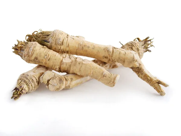 Beyaz lezzetli ve baharatlı sebze olarak horseradish yabani bitki köklerinin — Stok fotoğraf