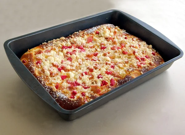 Gâteau aux fruits de rhubarbe — Photo