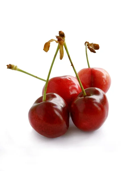 Frutos rojos de cereza dulce de cerca — Foto de Stock