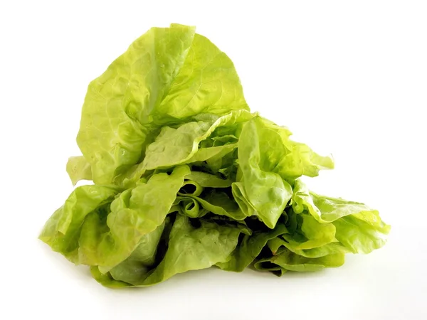 Lechuga verde — Foto de Stock