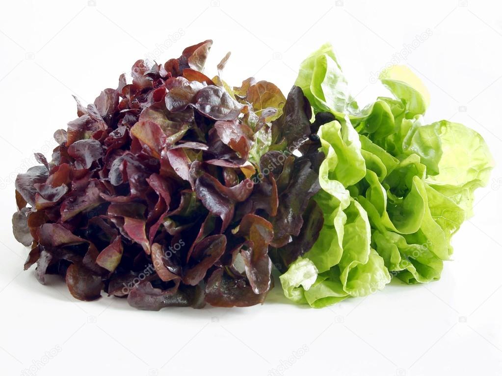 purple and green lettuce for salad