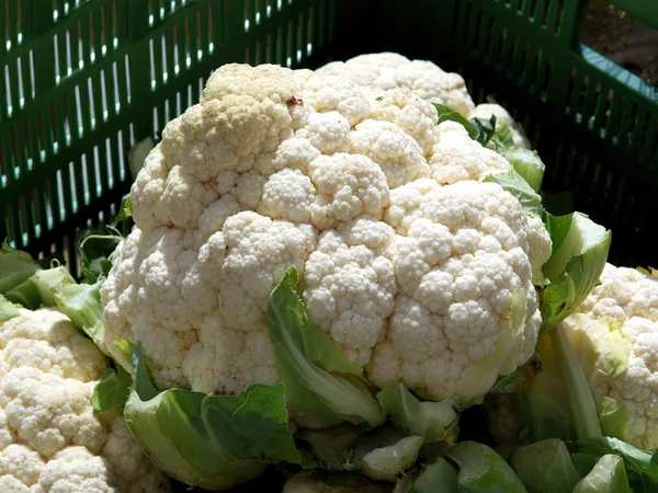 Coliflor blanca, sabrosa — Foto de Stock