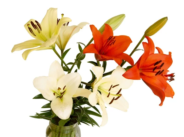 多色のユリの花束 — ストック写真