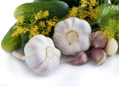 salatalık ve korumak bal yapmak için