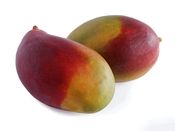 Червоні та зелені манго — стокове фото