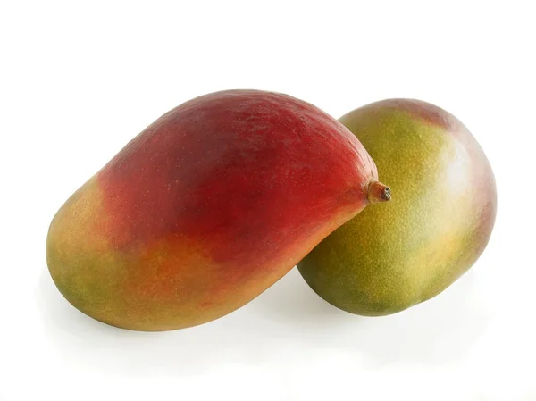 Mangoes tropical fruits — Stock Photo, Image
