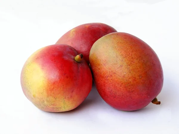 Red and yellow mangoes fruits — Stock Photo, Image