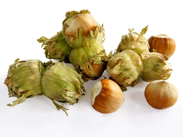 Hazelnuts as tasty almond — Stock Photo, Image