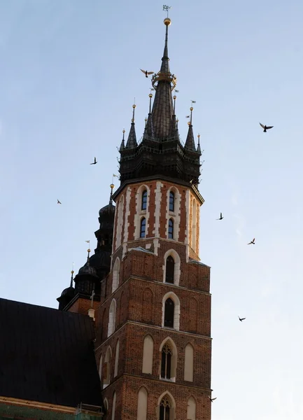 Höga tornen i Saint Mary's church i Krakow — Stockfoto