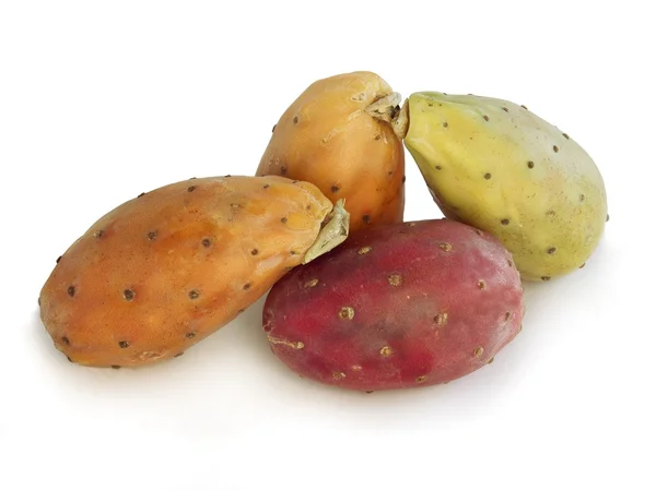 Плоды opunthia cactus — стоковое фото