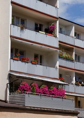 Kırmızı Sardunya bitkiler balkonlar