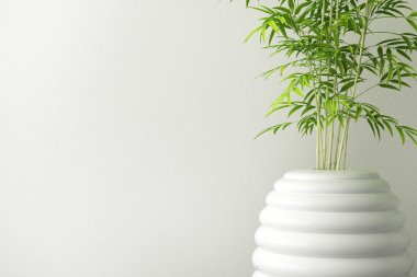 Seramik closeup ağaç pot ve duvar iç