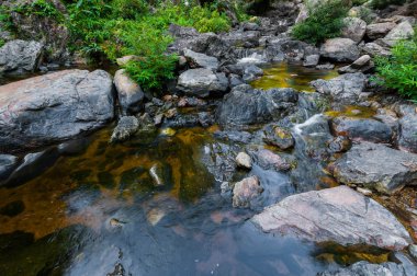 Gölet ve orman yatay olarak