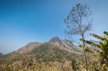 Dağ Doi Luang Chiang Dao doğal park peyzaj