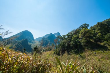 Dağ Doi Luang Chiang Dao doğal park peyzaj