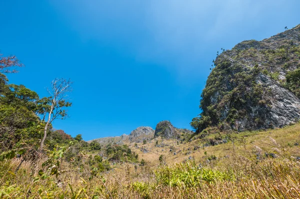 Montanha de Doi Luang Chiang Dao parque natural Paisagem — Fotografia de Stock