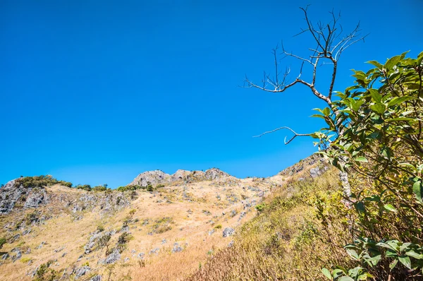 Mountain of Doi Luang Chiang Dao natural park Landscape — Stock Photo, Image