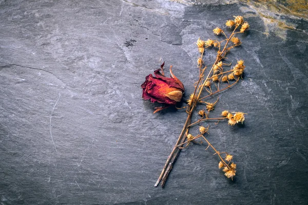 Primo piano di fiore di rosa secco su pietra — Foto Stock