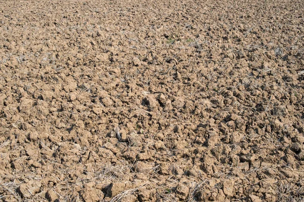 Fundo do solo para a agricultura — Fotografia de Stock