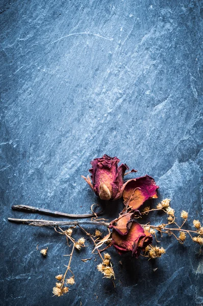 Primo piano di fiore di rosa secco su pietra — Foto Stock