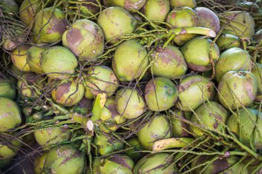 Hindistan cevizi meyve yığın closeup arka planı için