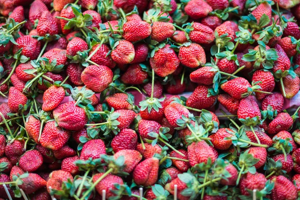 strawberry fruit pattern background