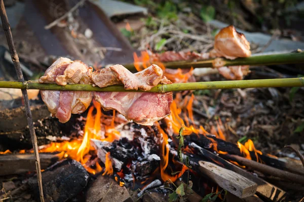 Carne de porco assada para camping comida elegante — Fotografia de Stock