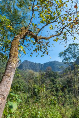 Dağ Doi Luang Chiang Dao doğal park peyzaj, Chiang 