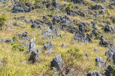 Dağ manzarasında yeşil ağaç ve taş deseni.
