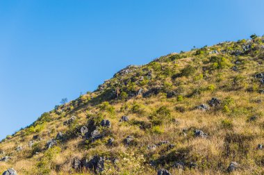 Doi Luang Chiang Dao Dağları, Chiang Mai, Tayland.
