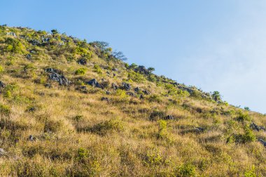 Doi Luang Chiang Dao Dağları, Chiang Mai, Tayland.