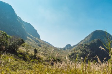 Doi Luang Chiang Dao Dağları, Chiang Mai, Tayland.