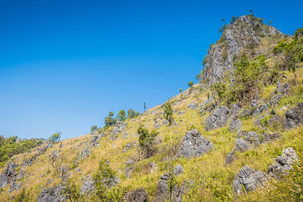 Dağ Doi Luang Chiang Dao doğal park peyzaj, Chiang 
