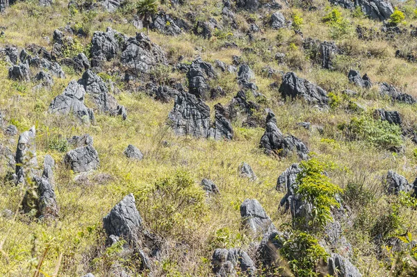 Dağ manzarasında yeşil ağaç ve taş deseni.