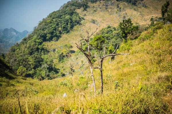 Doi Luang Chiang Dao Mountain Landscape, Chiang Mai, Thailand. — Stock Photo, Image