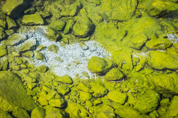 Green of hot spring pond close seup — стоковое фото