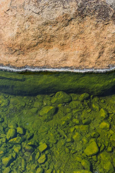 Зеленый на камне пруда горячего источника крупным планом — стоковое фото