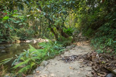 Yol Chaeson şelale Lampang doğal parkı ili, Tayland