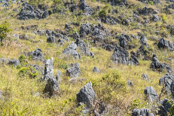 Mönster av grönt träd och sten i bergslandskapet. — Stockfoto