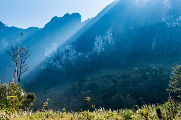 Montaña de Doi Luang Parque natural de Chiang Dao Paisaje, Chiang —  Fotos de Stock