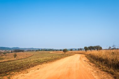 toprak yol ve kuru alan manzara