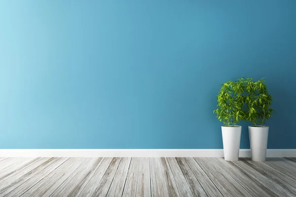 White flower plot and blue wall interior — Stock Photo, Image