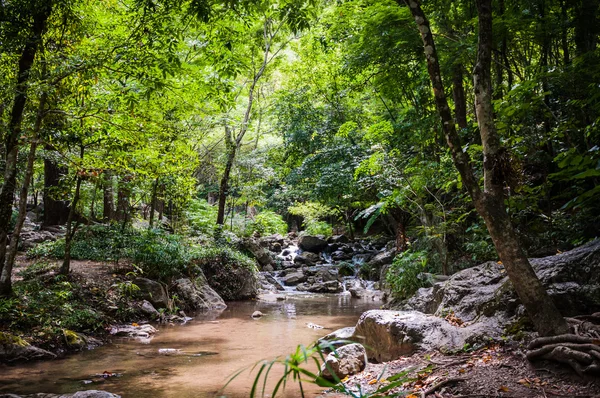 Лан заспівав водоспад, природний парк в Таїланді — стокове фото