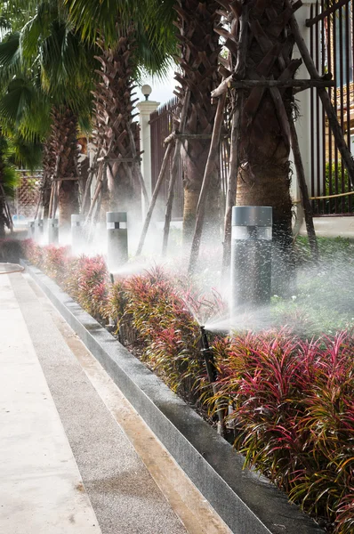 jardín de flores con arcos decorados con rosas — Foto de stock