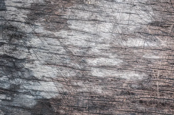 Texture of wood background — Stock Photo, Image