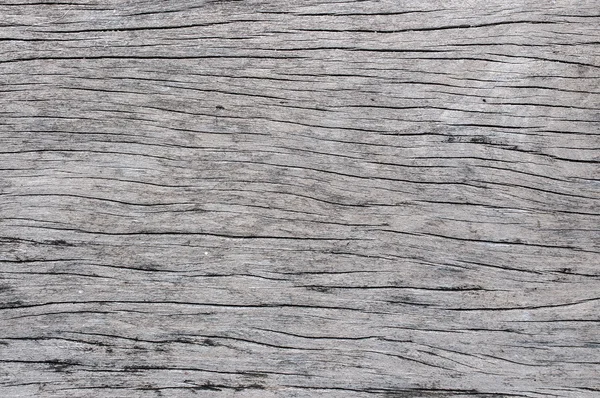 Texture of wood background — Stock Photo, Image