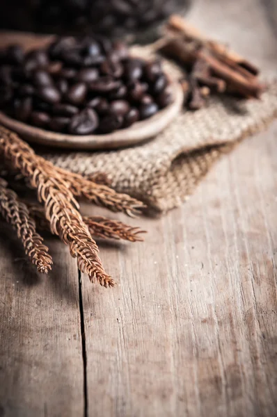 Primo piano di foglie di pino e chicchi di caffè — Foto Stock