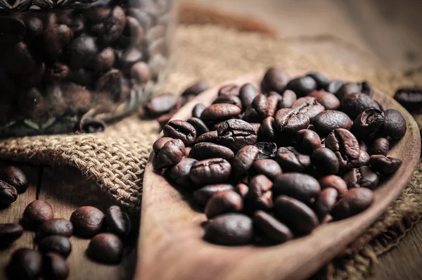 Closeup grãos de café na concha — Fotografia de Stock